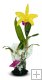 4" Blooming Cattleya 4" Blooming Cattleya