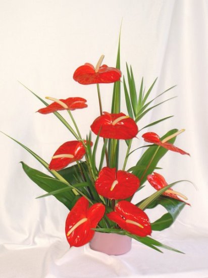 9 pc. Red Anthuriums - Click Image to Close