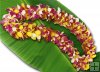 130 Blossom Orchid Lei 130 Blossom Orchid Lei
