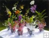 24 pc. Potted Orchid Assortment