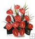 12 pc. Red Anthuriums