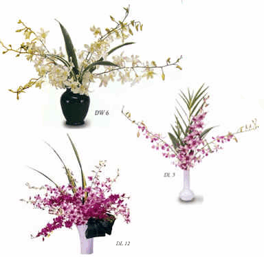 Tropical Flower Boxes