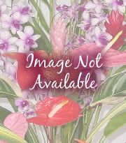 9 pc. Pastel Anthuriums - Click Image to Close